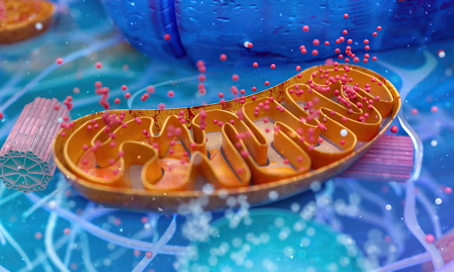 The Science Behind Cold Laser Therapy Devices