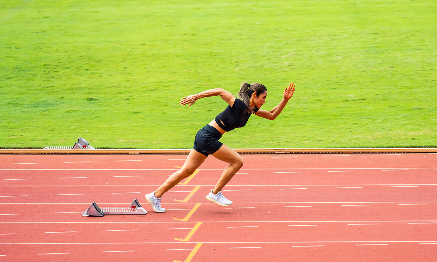 Rebuilding Ligaments with Laser Precision: LLLT in Action