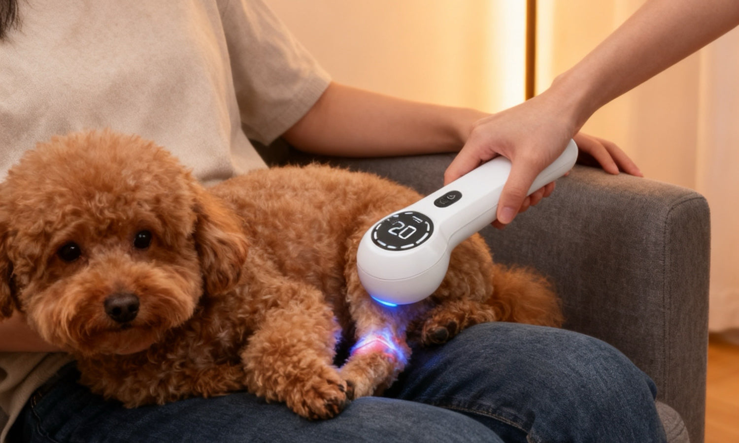 The Internet Can’t Stop Talking About Cold Laser Therapy for Dogs — Does It Really Work?