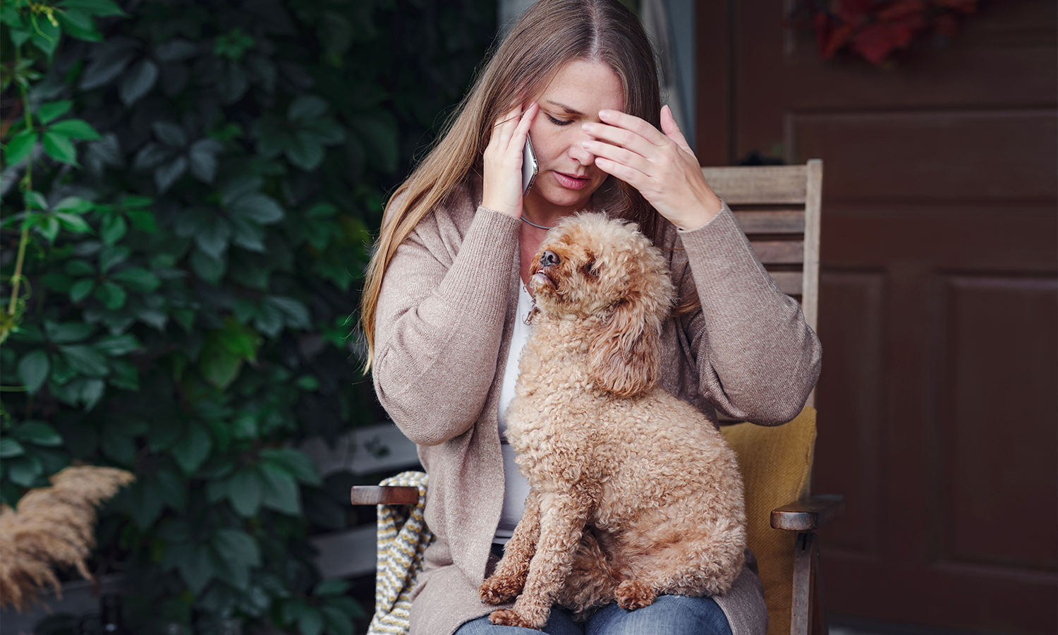 Red Light Therapy for Dogs: Safety Facts, Health Benefits, and When to Use It