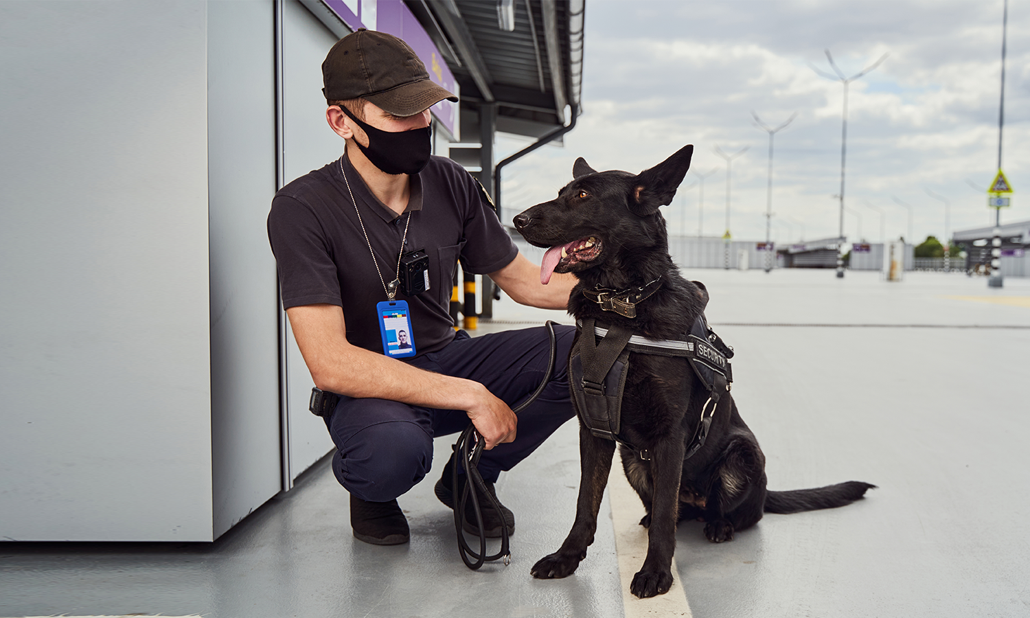 Cold Laser Therapy for Sports and Working Dogs: Recovery and Performance