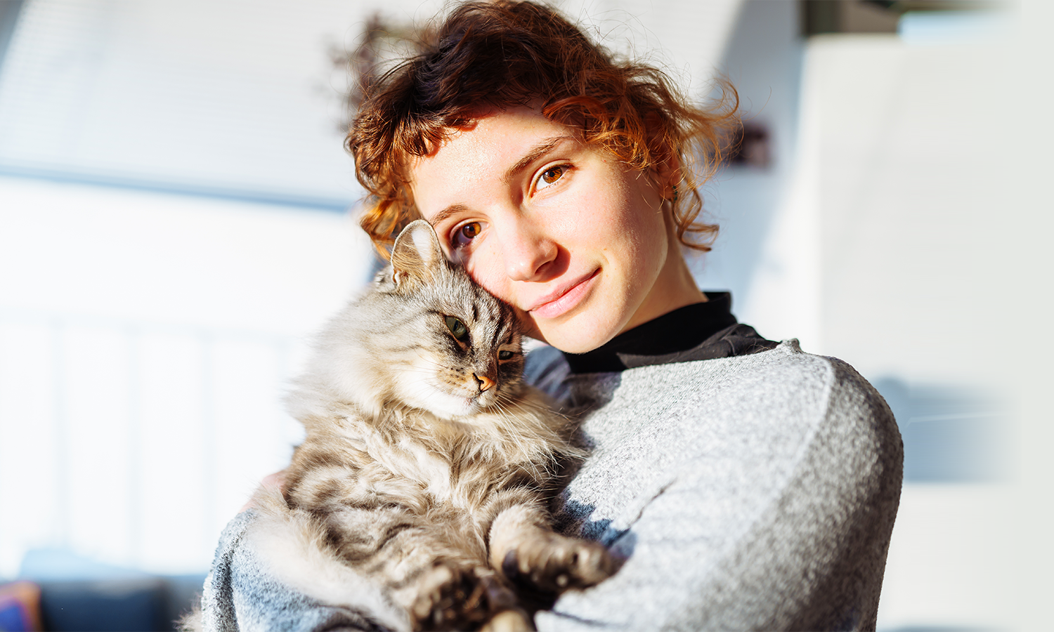 Cat Ear Infections: How Cold Laser Therapy Helps