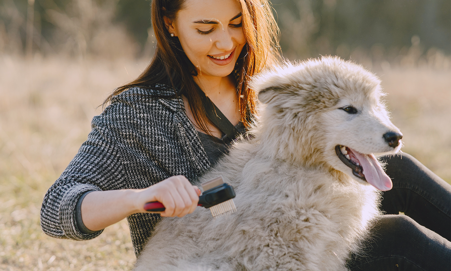 Cold Laser Therapy for Dogs with Skin Inflammation: A Gentle, Drug-Free Way to Support Healing and Comfort