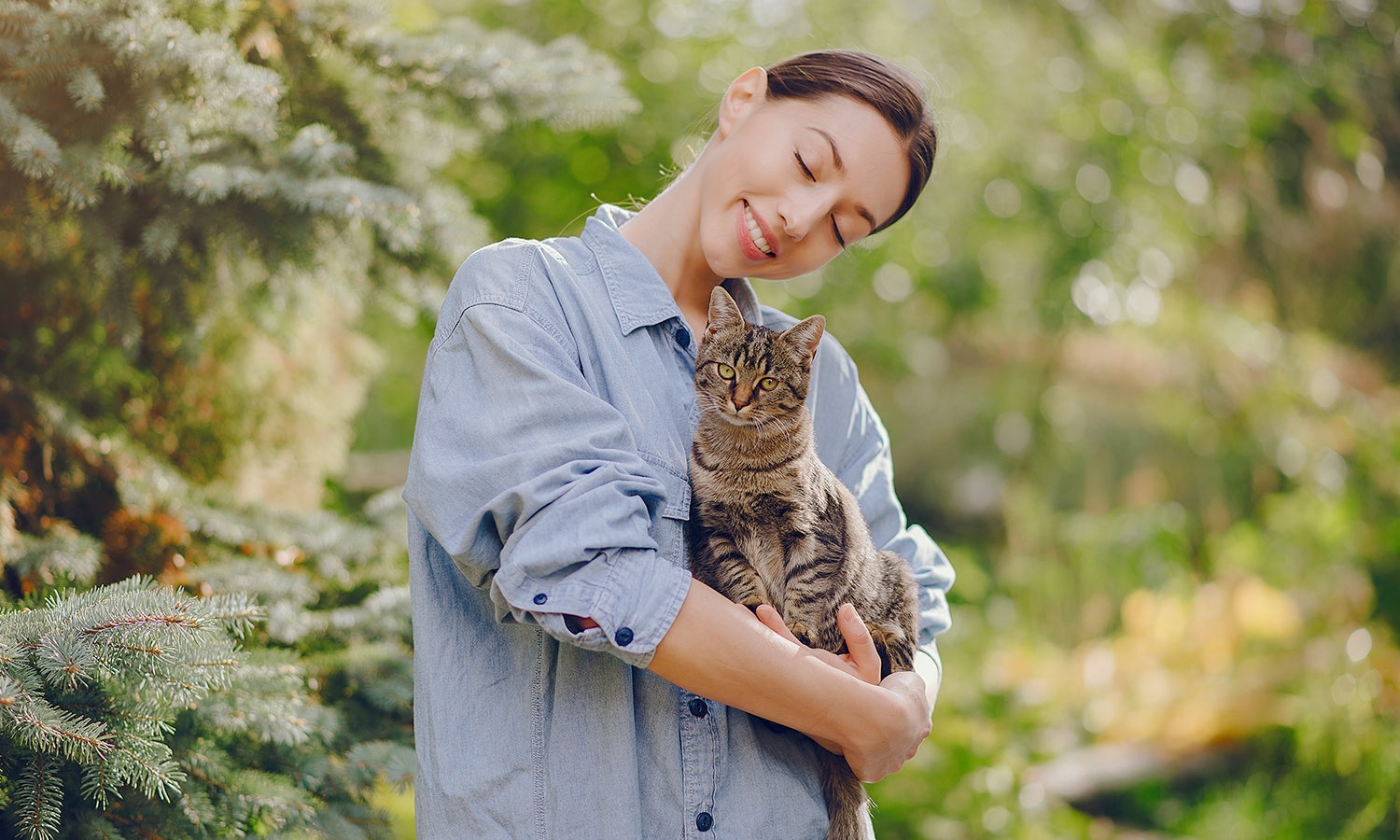 Can Cold Laser Therapy Calm My Anxious Cat? Using LLLT for Feline Muscle Tension and Post‑Injury Healing