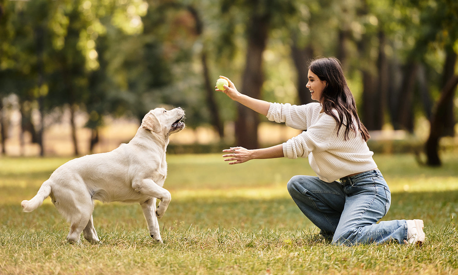 Supporting Active Pets Through Every Stage of Life: How Pet Owners Are Incorporating Cold Laser Therapy into Daily Wellness Routines
