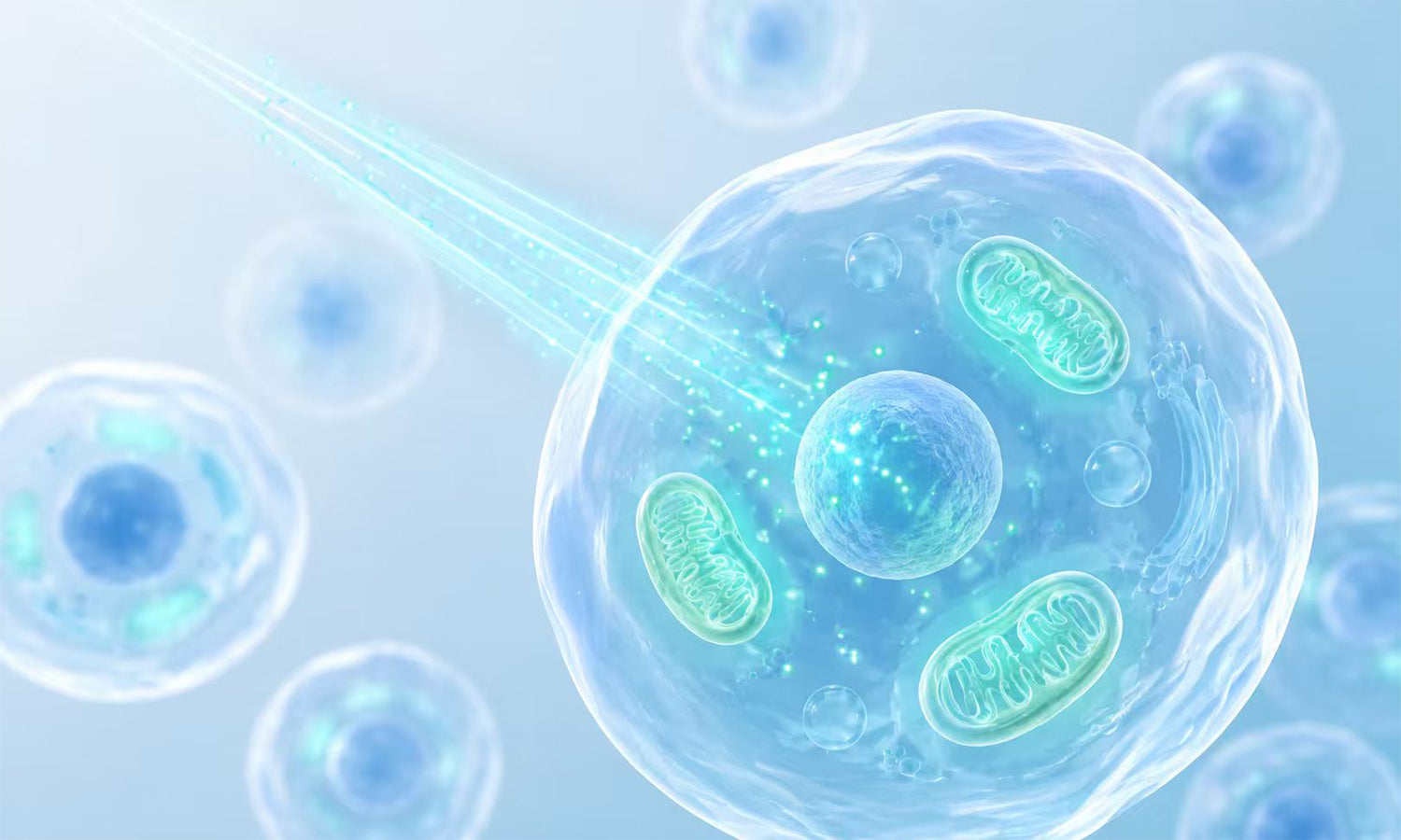 Is Cold Laser Therapy Really Effective for Pain Relief? What You Should Know Before Trying It