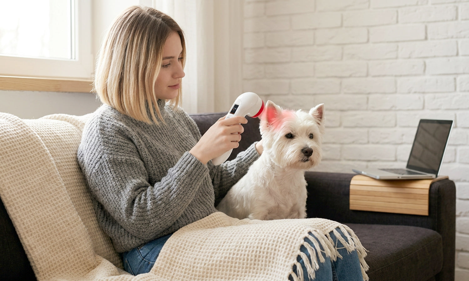 Cold Laser Therapy for Soft Tissue Injuries in Pets: A Non-Invasive Recovery Approach