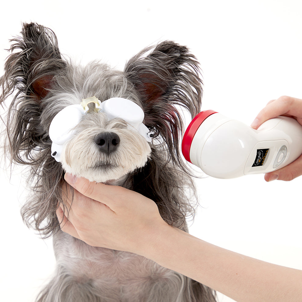 PowerCure Pro Vet Cold Laser Therapy Device for Dogs – Arthritis ...