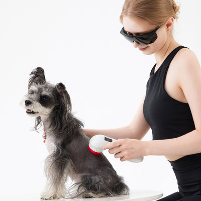 PowerCure Pro Vet