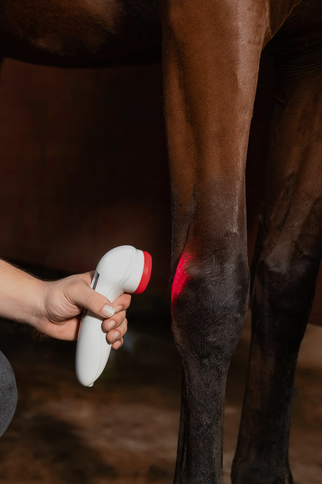 PowerCure Cold Laser Therapy Device | Pain Relief for Home & Pets ...