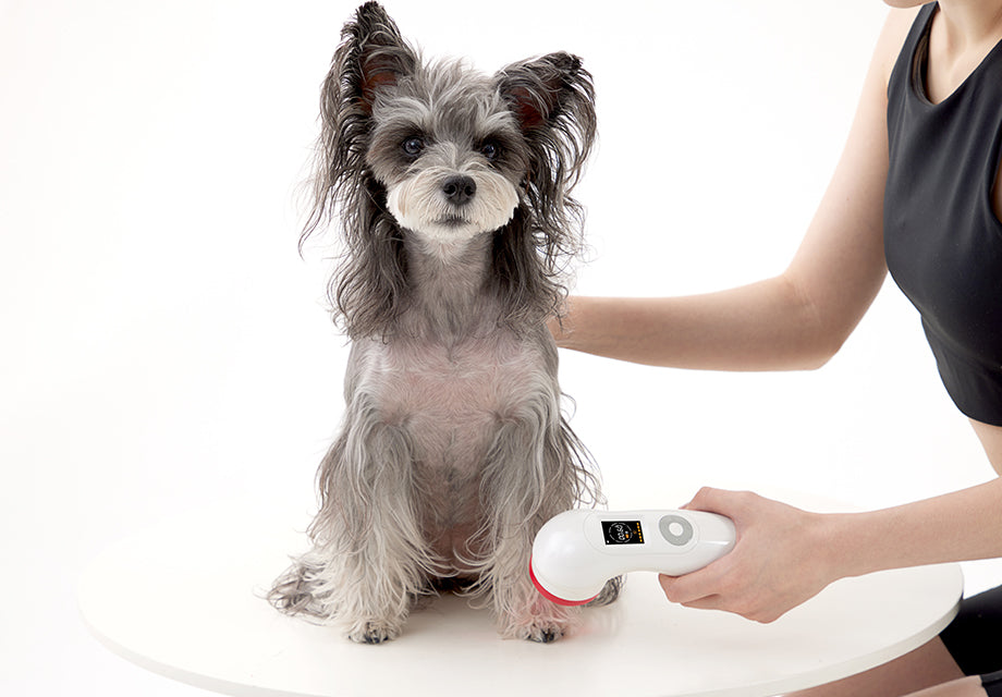 At-Home Cold Laser Therapy Device – Professional Pain Relief & Deep ...